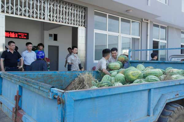 杭州政府送清凉正在搬运西瓜